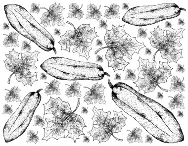 Elle Babaco Papaya beyaz arka plan üzerinde çizilmiş