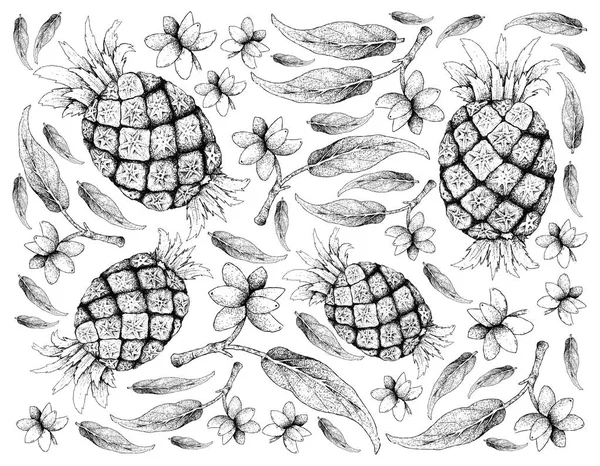 Fondo de Piña y Aglaonema Simplex Frutos Dibujados a Mano — Foto de Stock