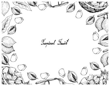 Ananas ve Abiu meyve el çizilen çerçeve