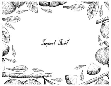Aboirana meyve ve ananas el çizilen çerçeve 