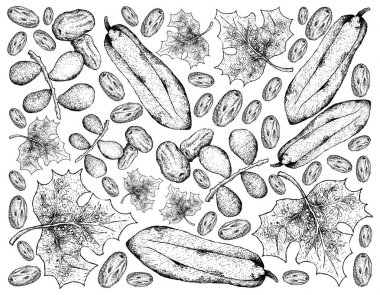 Tarihleri ve Babaco Papaya meyve çizilmiş arka plan el