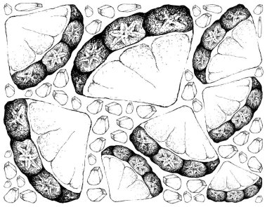 Taze tatlı organik ananas çizilmiş arka plan el