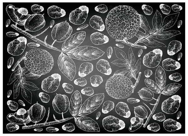 Handgezeichneter Hintergrund von Akee-Früchten und Brotfrüchten auf Kreidetafel — Stockvektor