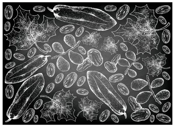 Fechas dibujadas a mano y frutas de papaya de Babaco en pizarra — Vector de stock