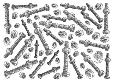 Beyaz arka planda fındık ve vidalar