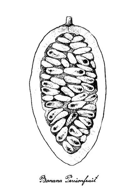 Dibujado a mano de plátano Maracuyá sobre fondo blanco — Archivo Imágenes Vectoriales