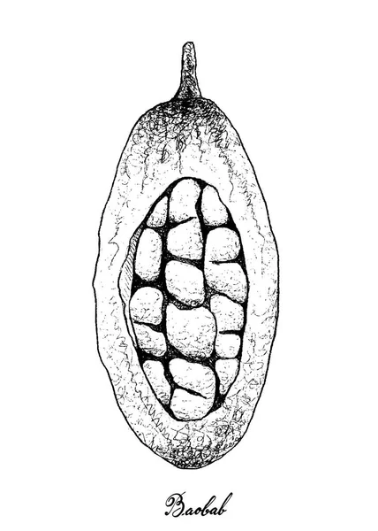 Handritad av Baobab eller Adansonia frukter på vit bakgrund — Stock vektor