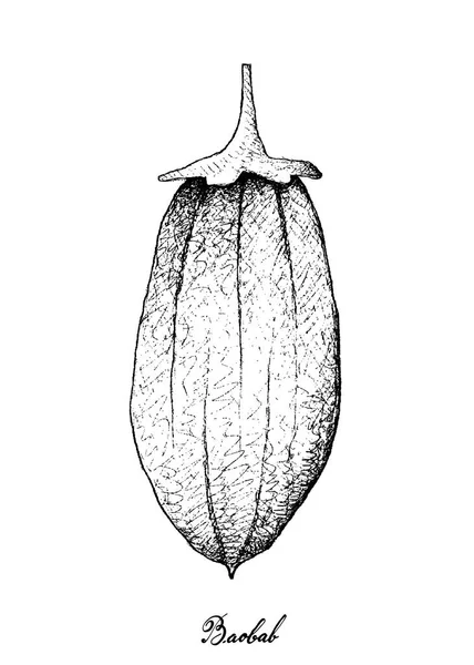 Dibujado a mano de frutas Baobab o Adansonia sobre fondo blanco — Vector de stock