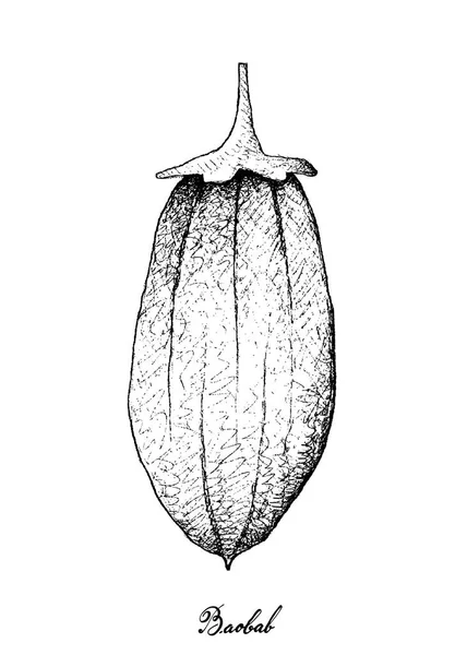 Elle Baobab veya Baobab meyve beyaz arka plan üzerinde çizilmiş — Stok Vektör