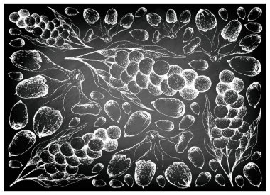 El Baccaurea Parviflora ve Buah Dabai meyve kara tahta çekilmiş