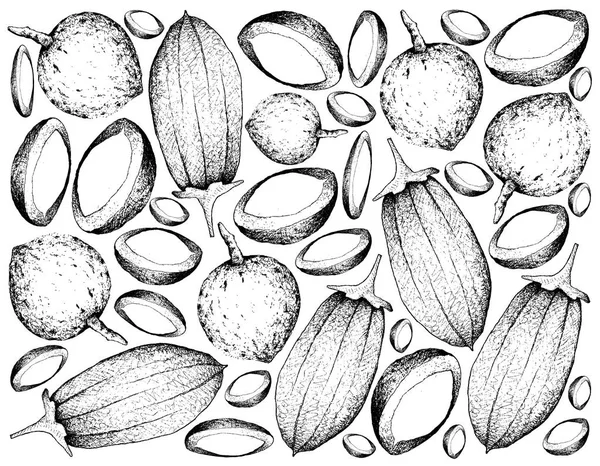 Fondo dibujado a mano de frutas de Bacuri y Baobab —  Fotos de Stock