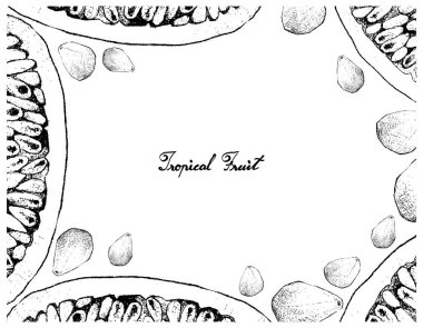 Muz Çarkıfelek ve Cempedak el çizilen çerçeve