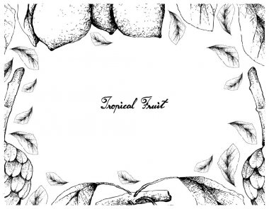 Cherimoya ve Bacupari meyve el çizilen çerçeve