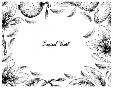 El Borojo ve muz Passionfruit çizilen çerçeve