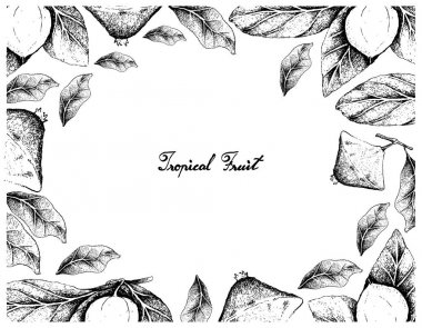El çizilen çerçeve Nance ve Cambuci meyve