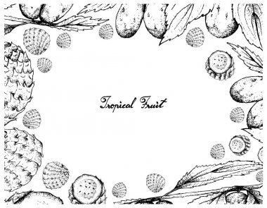 Çin tarihi ve Copao kaktüs meyve el çizilen çerçeve