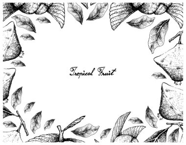 Cambuci ve Chalta veya fil Apple el çizilen çerçeve