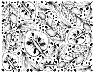 Olgun Cherimoya ve Wampee meyve elle çizilmiş duvar kağıdı