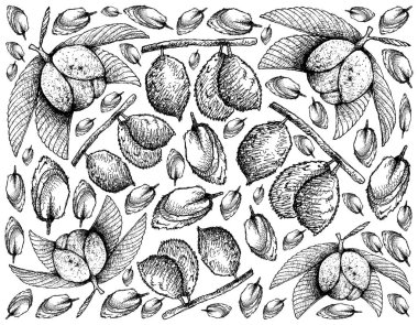 Chalta veya fil çizilmiş arka el Apple ve Charichuelo