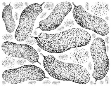 Taze Cempedak meyve çizilmiş arka plan el