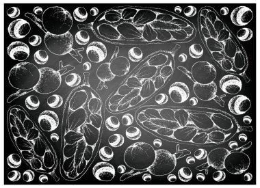 El Cempedak ve Cambuca meyveler kara tahta çekilmiş