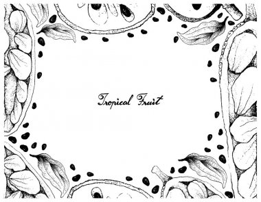 Cherimoya ve Cempedak meyve el çizilen çerçeve