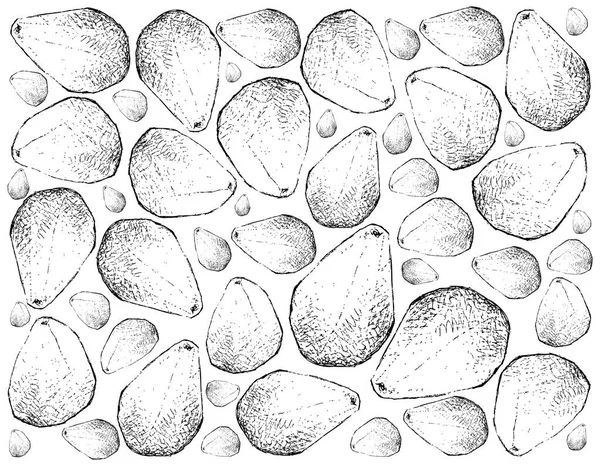Ručně kreslených pozadí z čerstvých Cempedak ovoce — Stockový vektor