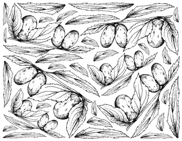 Fondo dibujado a mano de frutas de la fecha china — Archivo Imágenes Vectoriales