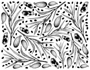 Bitki Bitkileri, Kakule Kapsüllerinin El Çizimi ve Tarhun Pişirmek İçin Kullanılan Tarhun.