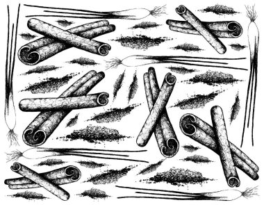 Bitkisel Bitkiler, Kurutulmuş Tarçın Çubukları 'nın El Çizimi İllüstrasyonu veya Scallion veya Baharat Pişirmek İçin Kullanılan Taze Soğan.