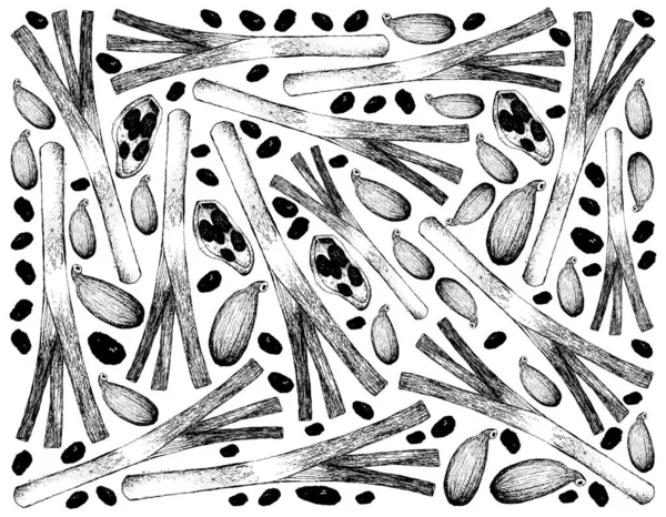 Plantes Base Plantes Illustration Croquis Dessiné Main Échalotes Fraîches Oignons — Image vectorielle