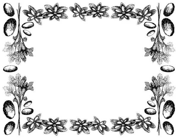 Wtih Star Anise Star Aniseed或Illicium Verum Frame — 图库矢量图片