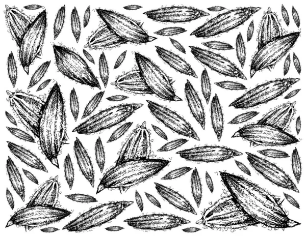 Växter Handritad Illustration Bakgrund Torkad Kummin Eller Cuminum Cyminum Seed — Stock vektor