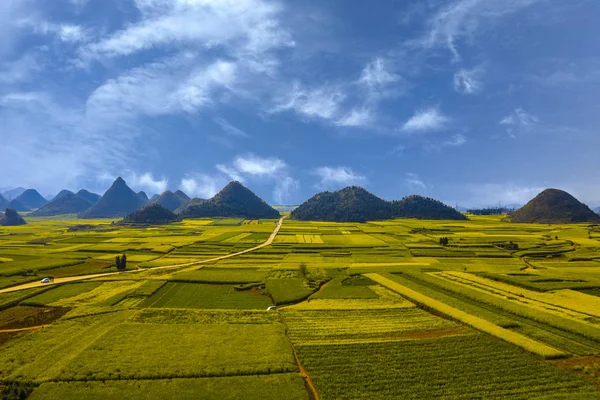 China Yunnan Luoping Jinjifengcong Colza Flores —  Fotos de Stock
