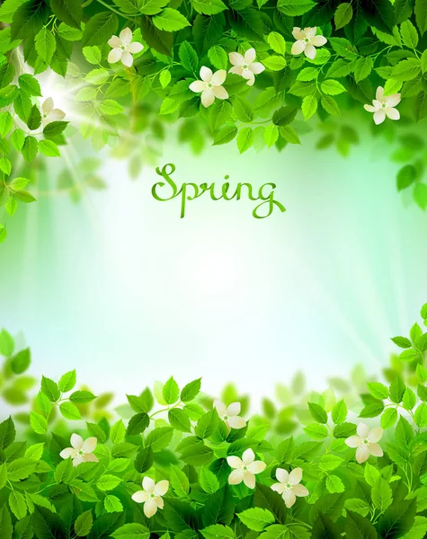 Written word Spring — Stock Vector