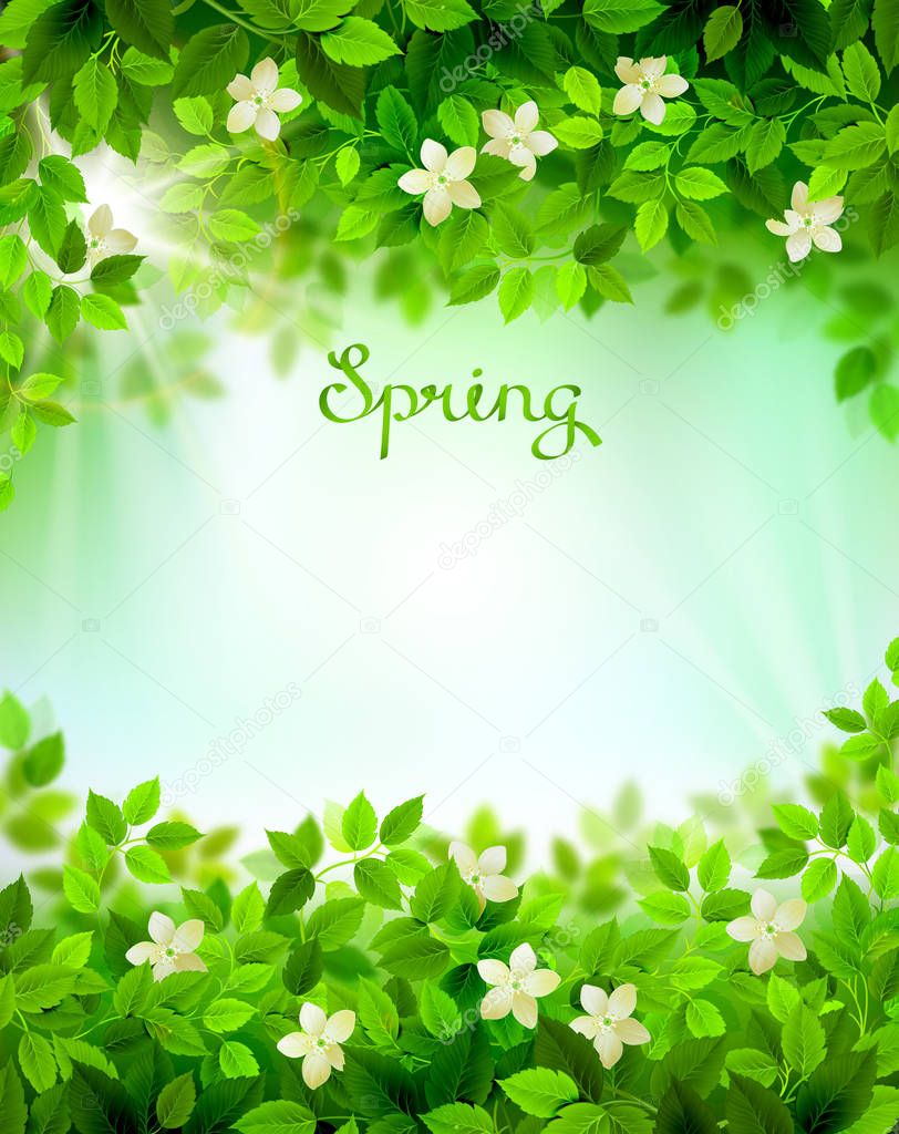 Written word Spring
