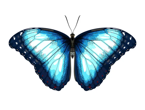 Mavi kelebek tasarım