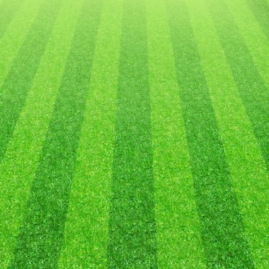 futbol futbol çim sahası