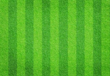 futbol futbol çim sahası