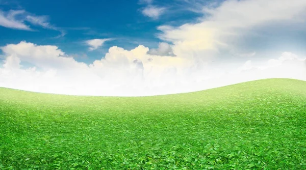 Campo de golf con cielo azul — Foto de Stock