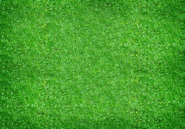 Zöld fű felülnézet — Stock Fotó