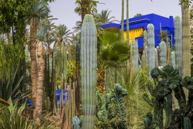 Fas turistik ve sanatsal ayrıntılarını