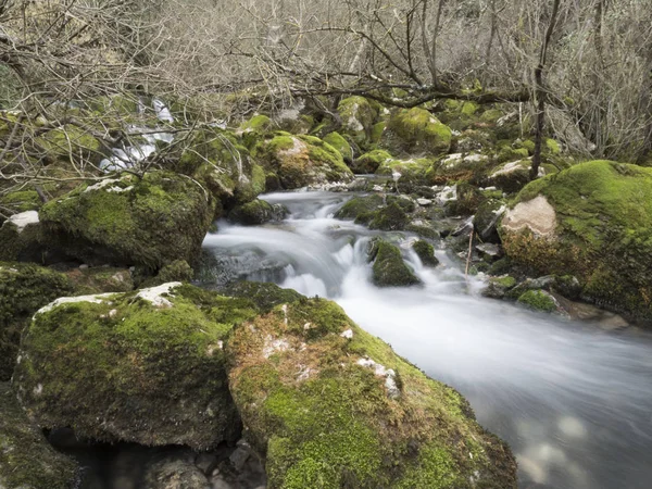 Río Con Piedras Musgo — Foto de Stock
