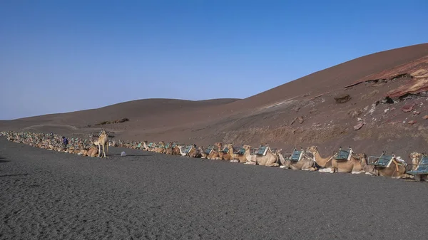 Detaljer För Lanzarote — Stockfoto