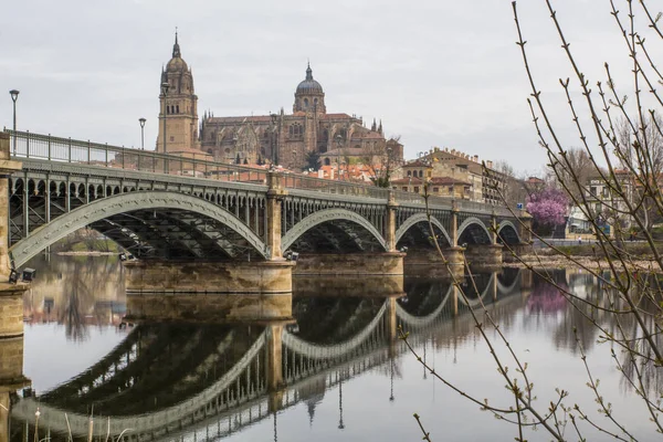 Salamanca şehir Katedrali ve köprü Nehri anıtlar