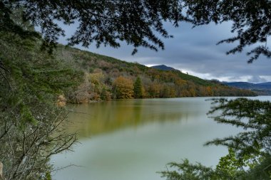 orman sonbahar bir göl yanındaki