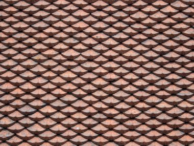 Vietnan tapınaklarının detayları