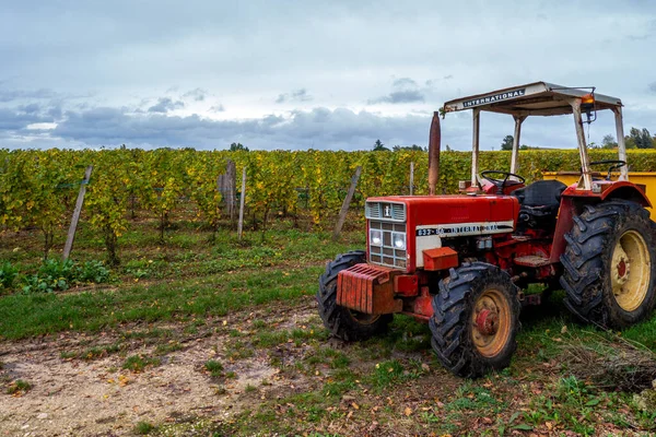 Plantering Vinstockar Och Traktor Förgrunden — Stockfoto