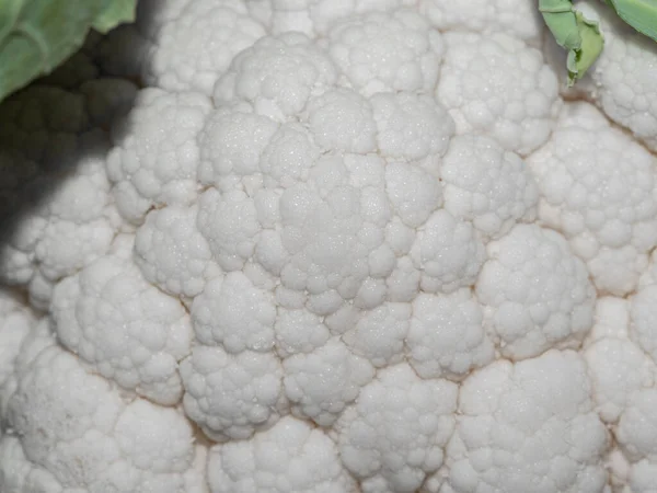 Macro Detalle Una Coliflor — Foto de Stock