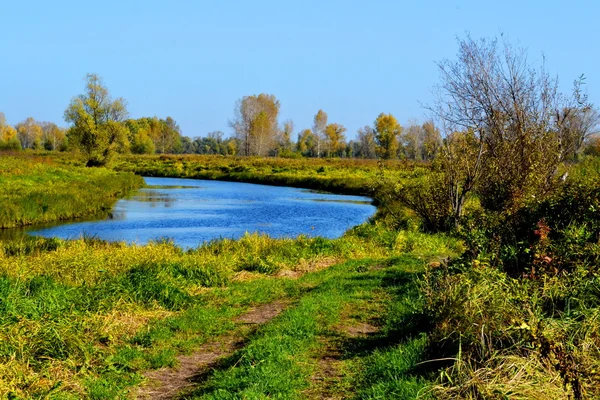 Natura Altaya piace a occhio — Foto Stock